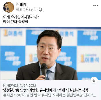 손혜원, 유시민 저격한 양정철 향해 "많이 컸다"