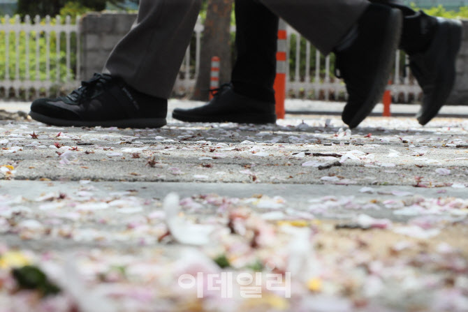 [포토]닫혔던 꽃길을 걷는 발걸음
