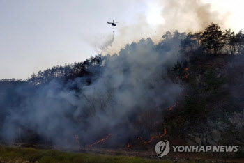 강원 평창 산불, 1시간 40분여만에 진화…0.2ha 태워(종합)