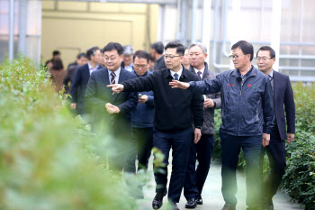 정부가 시작한 화훼농가 살리기…쯔양·펭수도 ‘꽃(花)혔다’