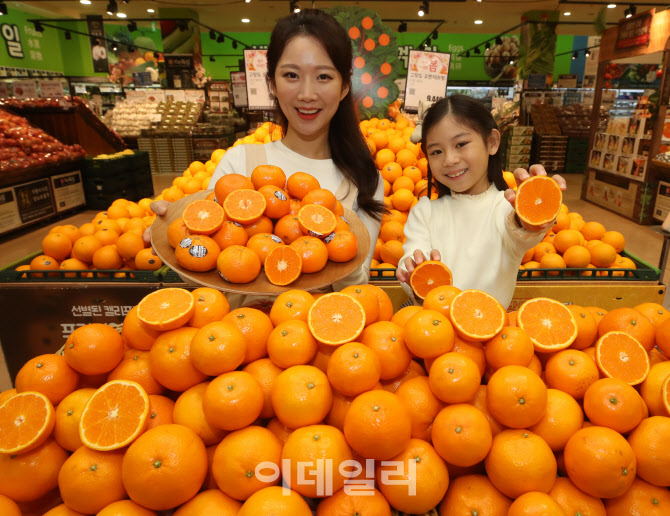 [포토]롯데마트, '제주 진지향'과 '미국산 만다린 오렌지' 선보여