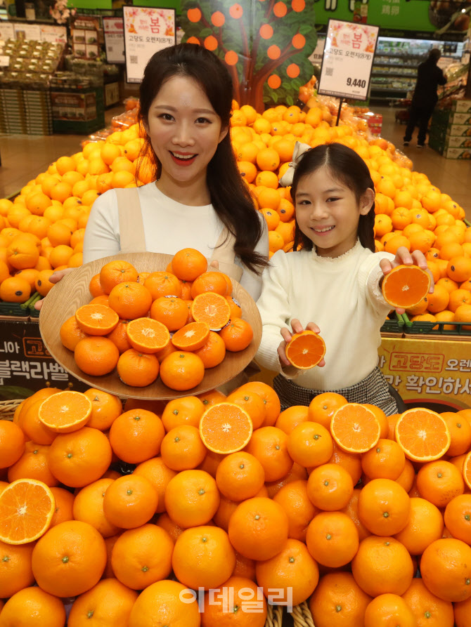 [포토]색다른 매력, '제주 진지향' VS '만다린 오렌지'