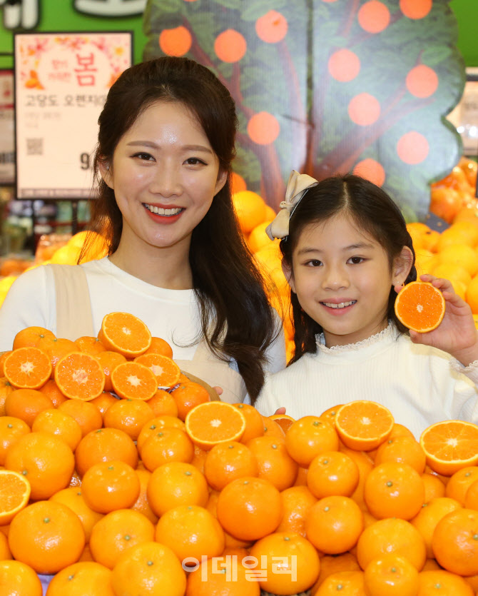 [포토]신 품종 '제주 진지향' 맛보세요!