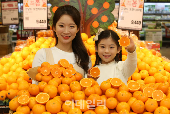 [포토]롯데마트, 신 품종 '제주 진지향' 맛보세요!