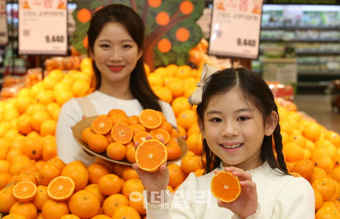 [포토]롯데마트, 신품종 '제주 진지향'과 '만다린 오렌지' 맛보세요!