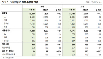 CJ대한통운, 코로나로 웃고울고…"2분기까진 글로벌매출↓"-DB