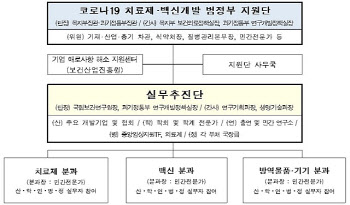 범정부실무추진단 출범...'백신·치료제' 신속 개발 돕는다