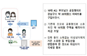 35억 강남집 산 ‘간 큰 10대’…알고보니 편법증여?