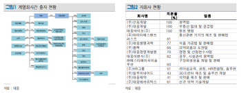 대웅 `니콜로사마이드`, 코로나19 치료효과 높아-DS