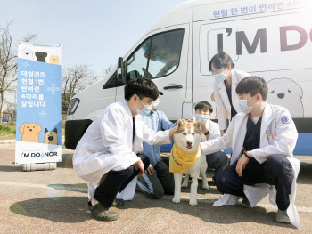 "개도 헌혈한다"…현대차, 반려견 헌혈카 시즌2 실시