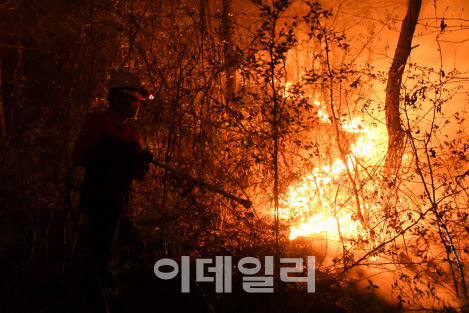 산림청, 황금연휴 기간중 산불예방 총력 대응한다