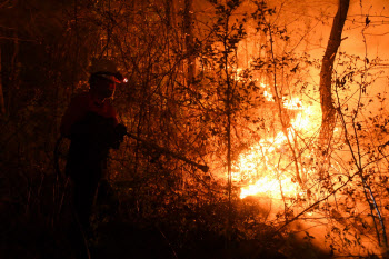 산림청, 황금연휴 기간중 산불예방 총력 대응한다