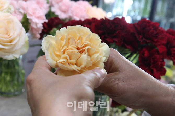 [포토]정성을 담은 카네이션, 부모님에게 드려요