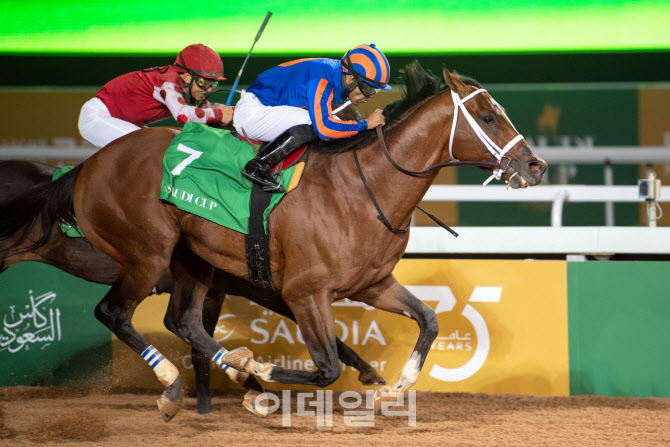 [경마이야기]"약물꼼수 꼼짝 마", 수백억 상금 좌우 경주마 도핑검사