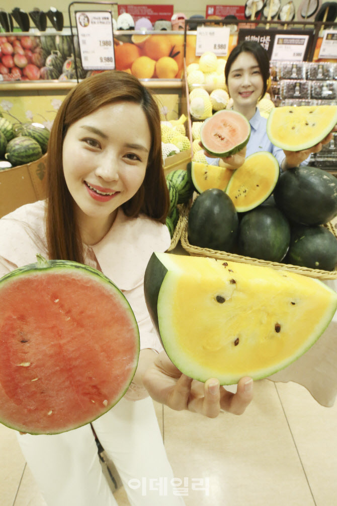 [포토]속이 꽉 찬 미니수박
