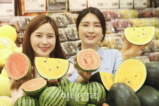 [포토]롯데마트, 애플수박과 블랙보스 수박 판매