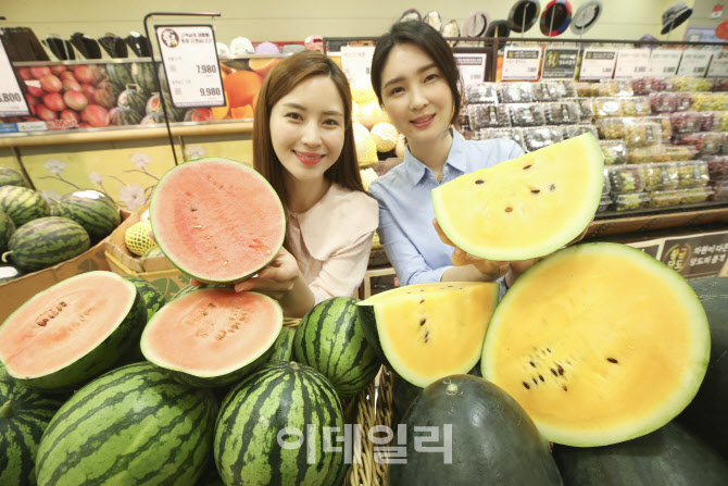 [포토]롯데마트, 1~2인 가구 위해 미니수박 선보여