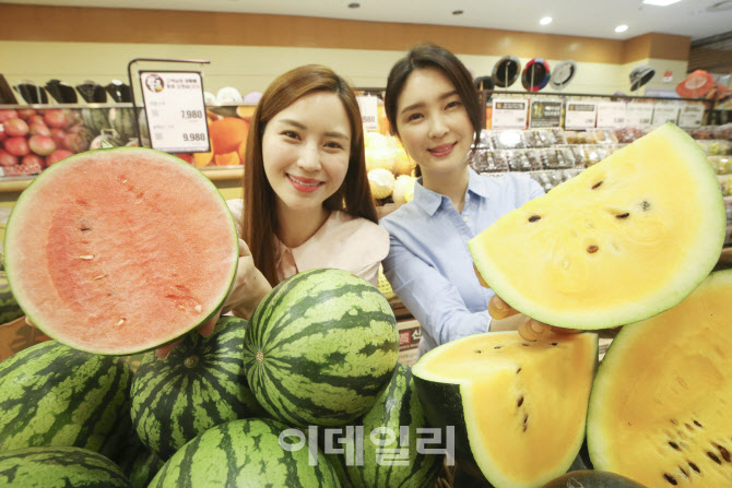 [포토]속이 꽉 찬 애플수박과 블랙보스 수박