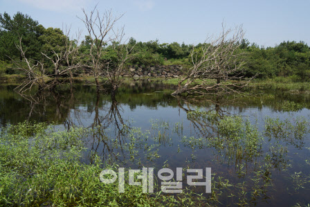 생물다양성 보고 '산림습지' 15년 연구 성과 나왔다