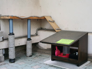 노원구, 길고양이 급식소 운영…위생관리·개체수 조절 '일석이조'