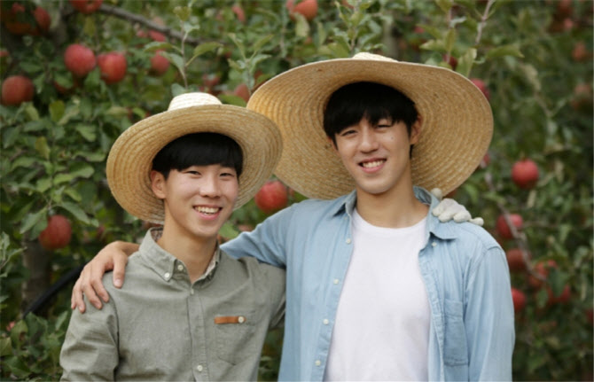 청송 사과 사업성 높인 청년 대표들, 이달의 농촌산업인