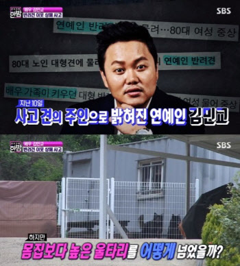 김민교 반려견, 이웃 할머니 공격 '법적 처벌은?'