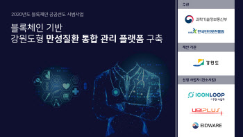강원도, 만성질환 통합관리에 블록체인을..아이콘루프 선정