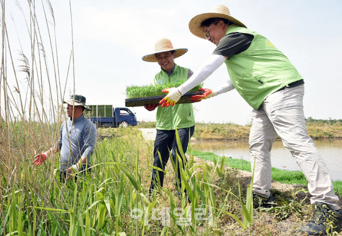 [포토] 모판나르는 농협유통 임직원들