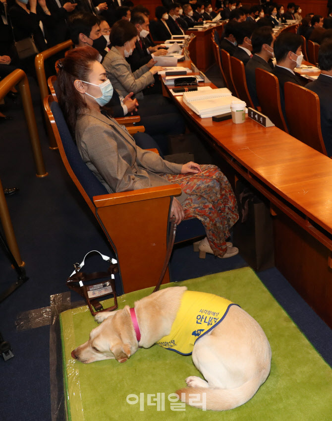 김예지 당선인, '안내견 조이와 함께'                                                                                                                                                     