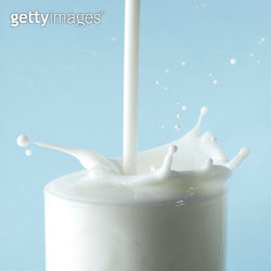[이연호의 과학 라운지](67)왜 우유를 마시면 배가 아플까?