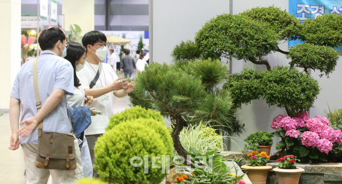 시선 사로잡는 아름다운 정원들                                                                                                                                                                     