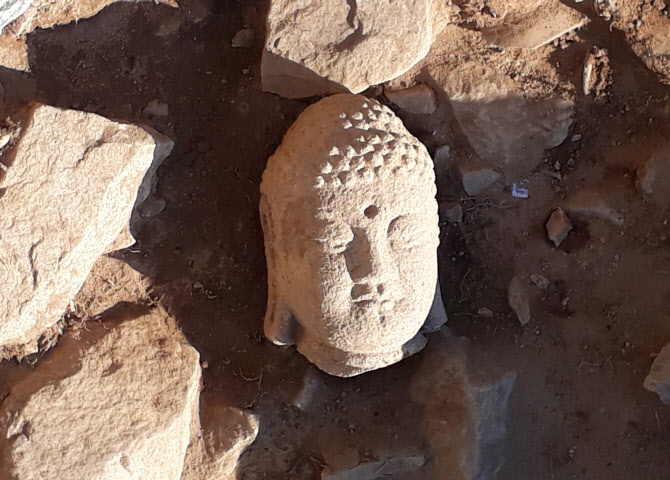 남산약수곡 절터서 통일신라시대 석불좌상 '불두' 발굴                                                                                                                                           