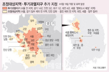 [팩트체크]6·17대책 전 분양받았다면 ‘잔금대출’ 70%까지 허용