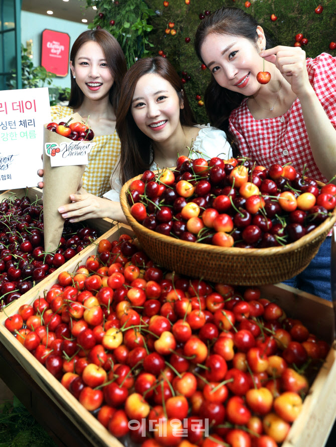  워싱턴체리 선보여..                                                                                                                                                                              