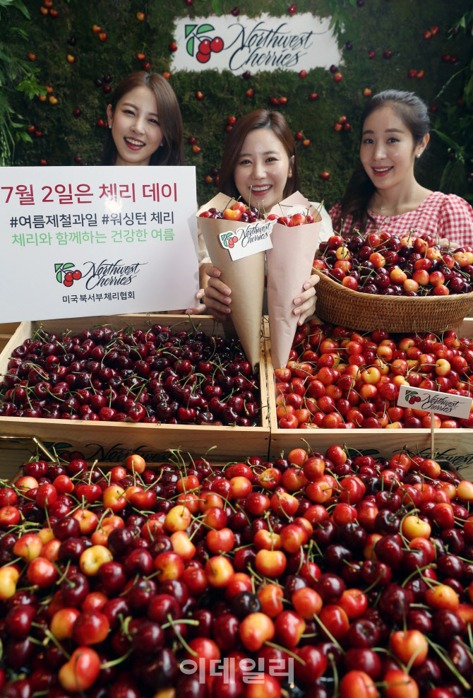  체리 계절이 왔어요~                                                                                                                                                                              