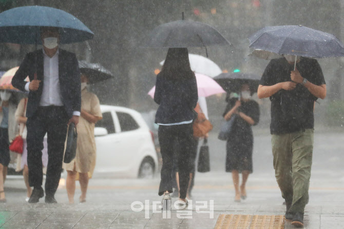 마지막 장마철 쏟아지는 비                                                                                                                                                                         
