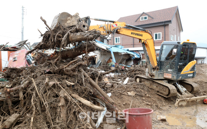 마을로 쓸려내려 온 나무들                                                                                                                                                                         