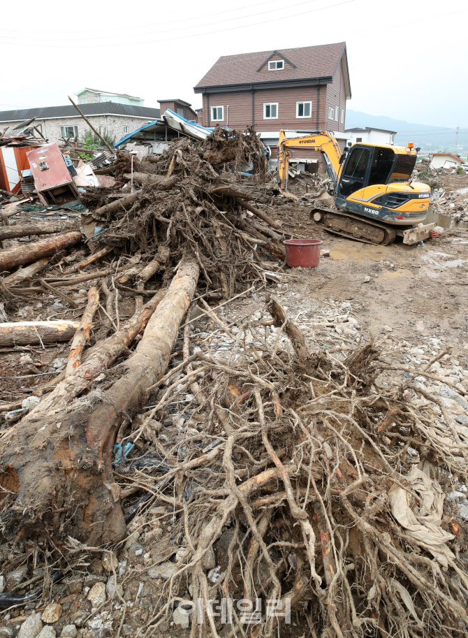 마을 덮친 나무들                                                                                                                                                                                  