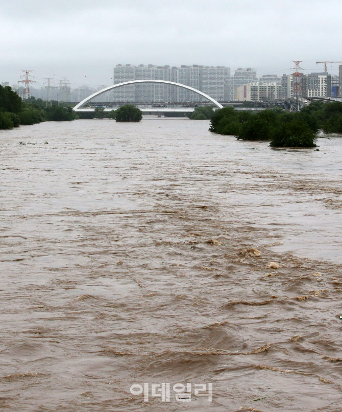 강처럼 폭 넓어진 탄천                                                                                                                                                                             