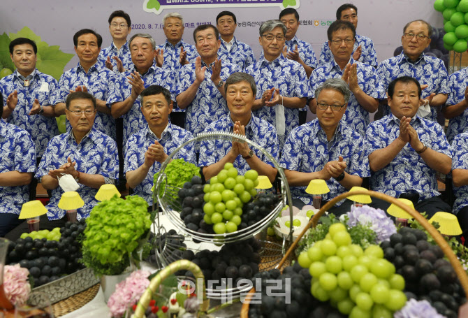  8월 8일 포도데이                                                                                                                                                                                 