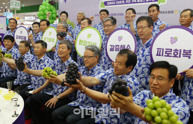  '포도' 먹고 피로회복                                                                                                                                                                   