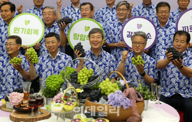  '포도' 많이 드세요~                                                                                                                                                                    