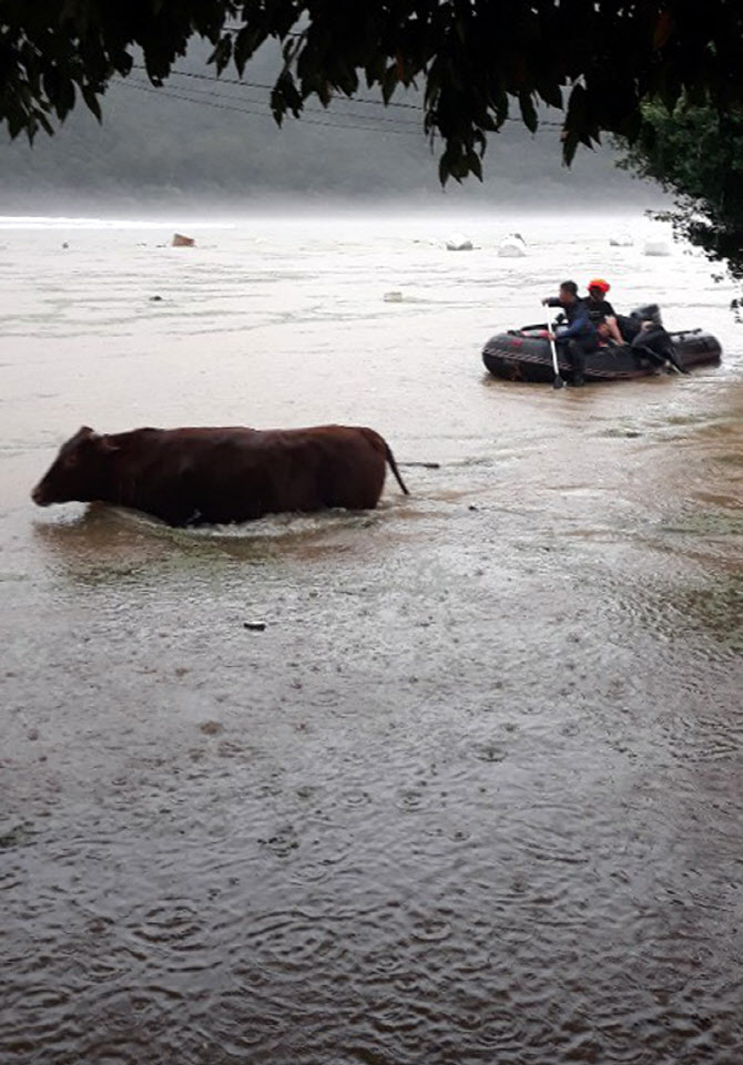  나 좀 살려주소                                                                                                                                                                                   