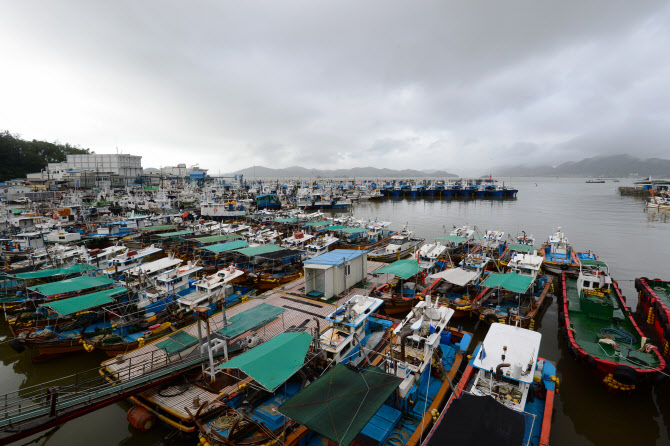  어선들 태풍을 피해 피항                                                                                                                                                                          