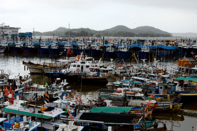  삼천포항으로 피항한 어선들                                                                                                                                                                       