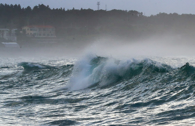  태풍 장미가 몰고 온 파도                                                                                                                                                                         