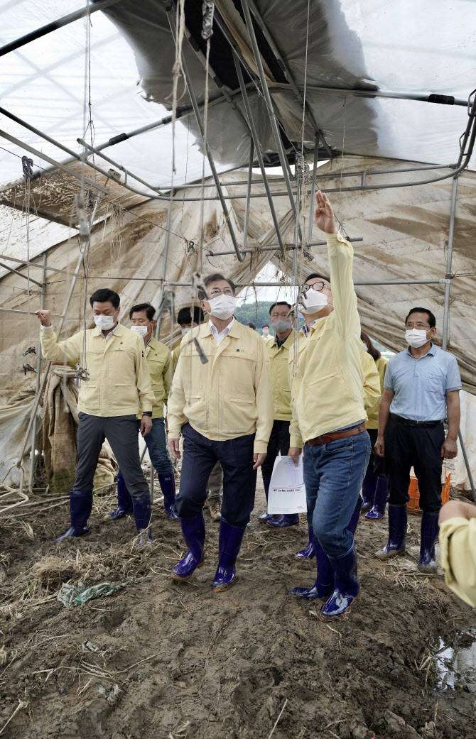 천안 호우 피해 유실 비닐하우스 찾은 문재인 대통령                                                                                                                                                       