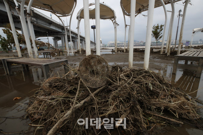 상처만 남은 한강공원                                                                                                                                                                              