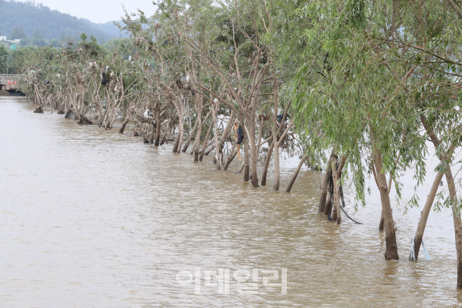 일부는 여전히 잠겨 있는 반포 한강공원                                                                                                                                                             