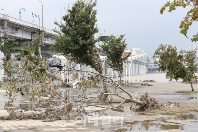 수마가 할퀴고 간 흔적                                                                                                                                                                             